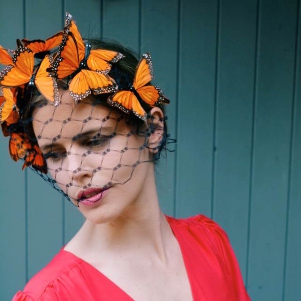Painted Lady - Orange