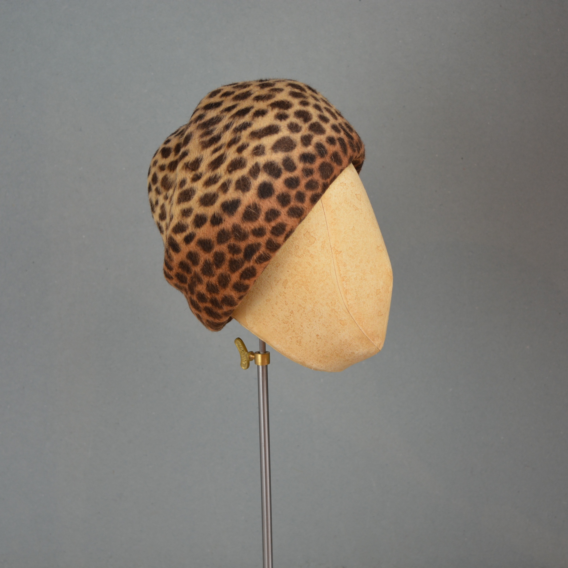 Felicity in Leopard
